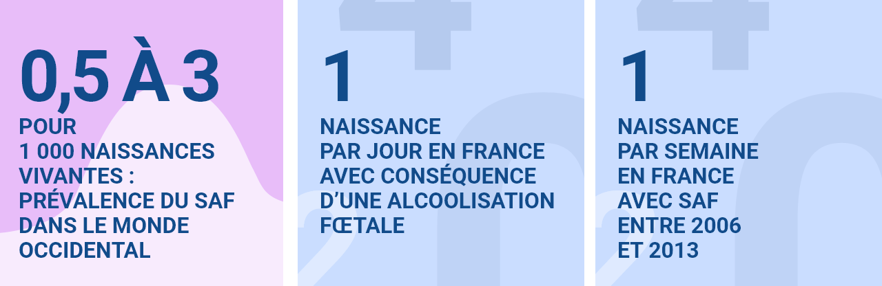 0,5 à 3 pour 1 000 naissances vivantes : prévalence du SAF dans le monde occidental / 1 naissance par jour en france avec conséquence d’une alcoolisation fœtale / 1 naissance par semaine en france avec SAF entre 2006 et 2013