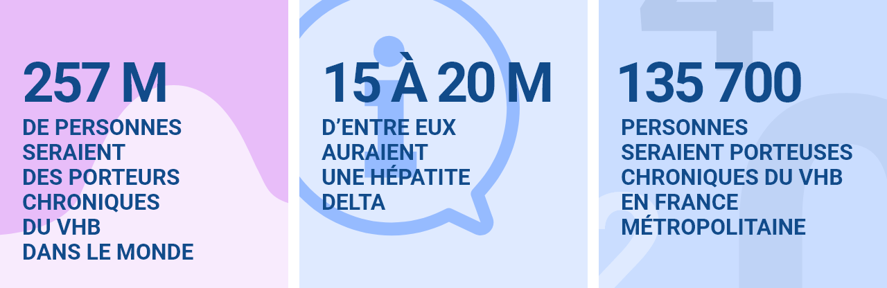 257 m de personnes seraient porteurs chroniques du vhb dans le monde 15 à 20 m d’entre eux auraient une hépatite delta 135 700 personnes seraient porteuses chroniques du vhb en france métropolitaine