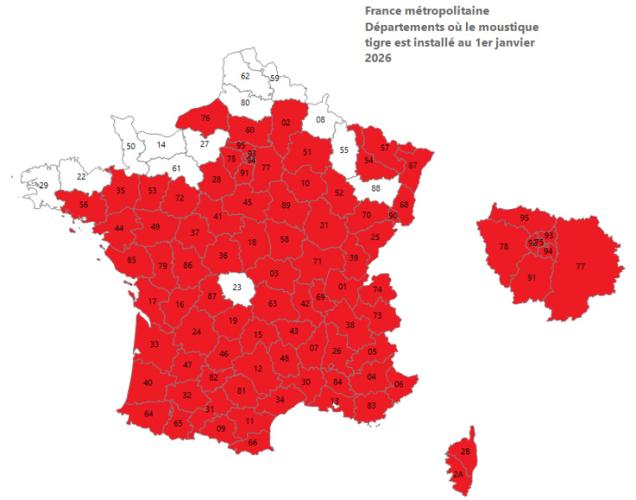 Cartographie d’implantation du moustique tigre en France : la quasi totalité des département est concernée par une présence du moustique tigre