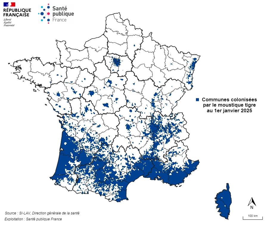 Commune colonisées par le moustique tigre au 1er janvier 2025