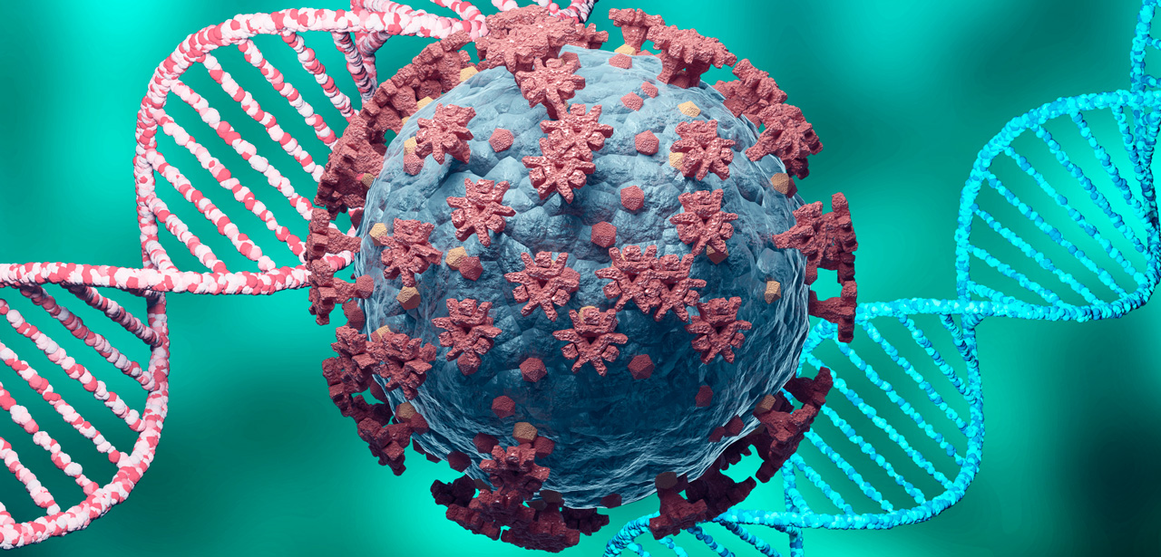 visuel de l'évolution génomique d'un virus