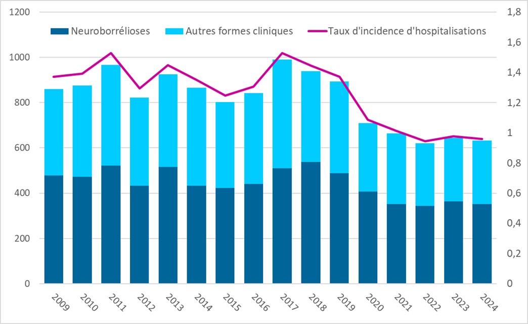 Évolution annuelle du nombre de cas de neuroborrélioses et d’autres formes cliniques, ainsi que du taux d’incidence des hospitalisations associées, entre 2009 et 2024. Les neuroborrélioses (partie inférieure des barres) montrent une relative stabilité, ta