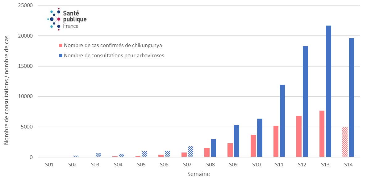 Source : données ARS La Réunion, Réseau de médecins sentinelles de La Réunion, CGSS Réunion, données mises à jour le 15/04/2025. Exploitation :  Santé publique France La Réunion. Données non consolidées en S14.