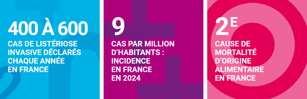 400 à 600 cas de listériose invasive déclarés par an en France / 9 cas par million d'habitants : incidence en France en 2024 / 2e cause de mortalité d'origine alimentaire en France