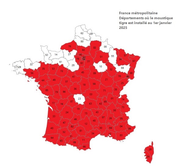 cartographie d’implantation du moustique tigre en France