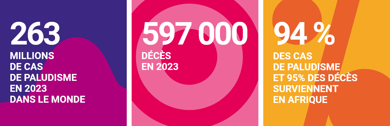 Infographie concernant le paludisme