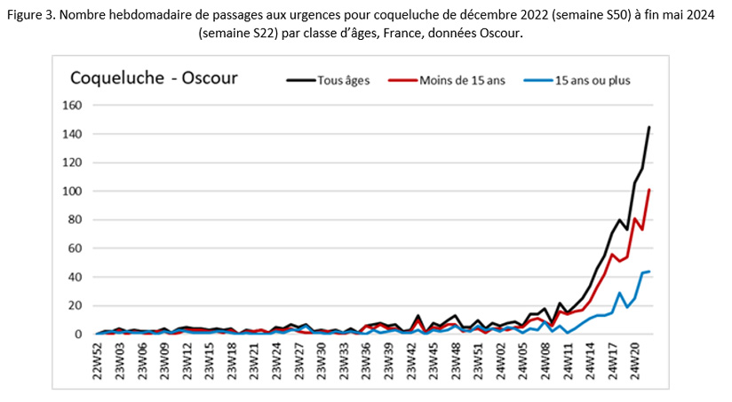 Figure 3. Nombre hebdomadaire de passages aux urgences pour coqueluche de décembre 2022 (semaine S50) à fin mai 2024  (semaine S22) par classe d’âges, France, données Oscour.