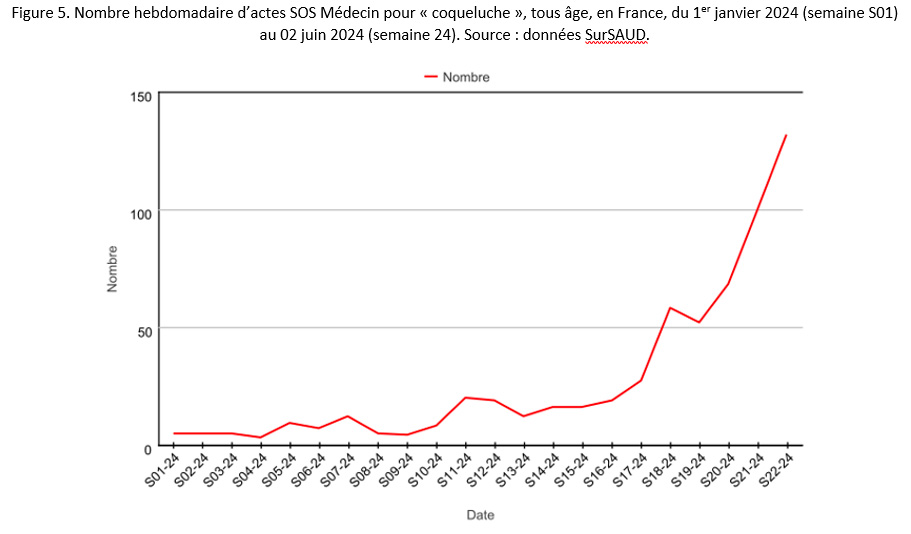 Figure 5. Nombre hebdomadaire d’actes SOS Médecin pour « coqueluche », tous âge, en France, du 1er janvier 2024 (semaine S01)  au 02 juin 2024 (semaine 24). Source : données SurSAUD.