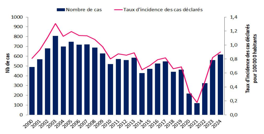 Nombre de cas et taux d’incidence annuels des cas déclarés d’infections invasives à méningocoque, France, 2000-2024