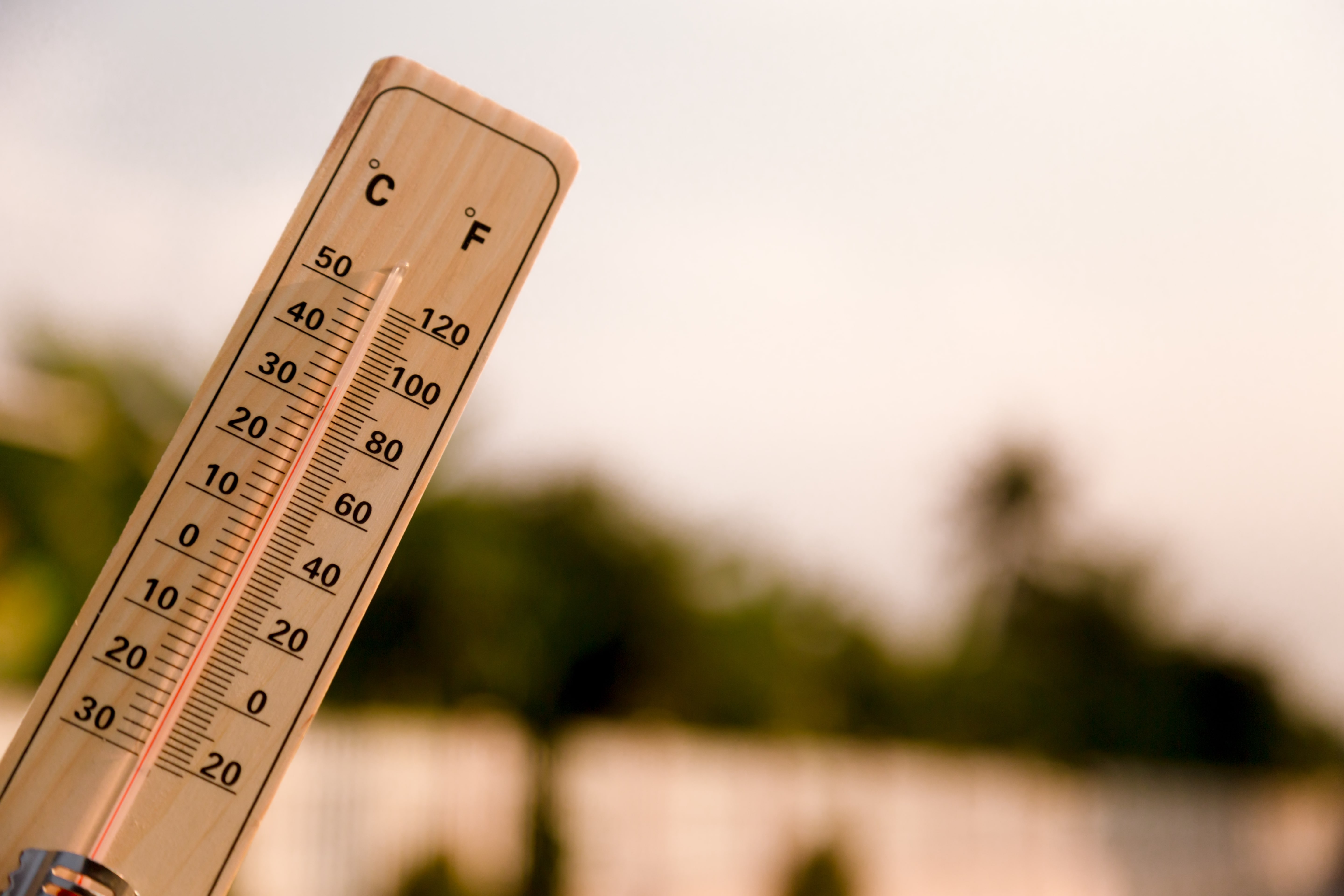 Canicule et fortes chaleurs : lancement de la veille saisonnière