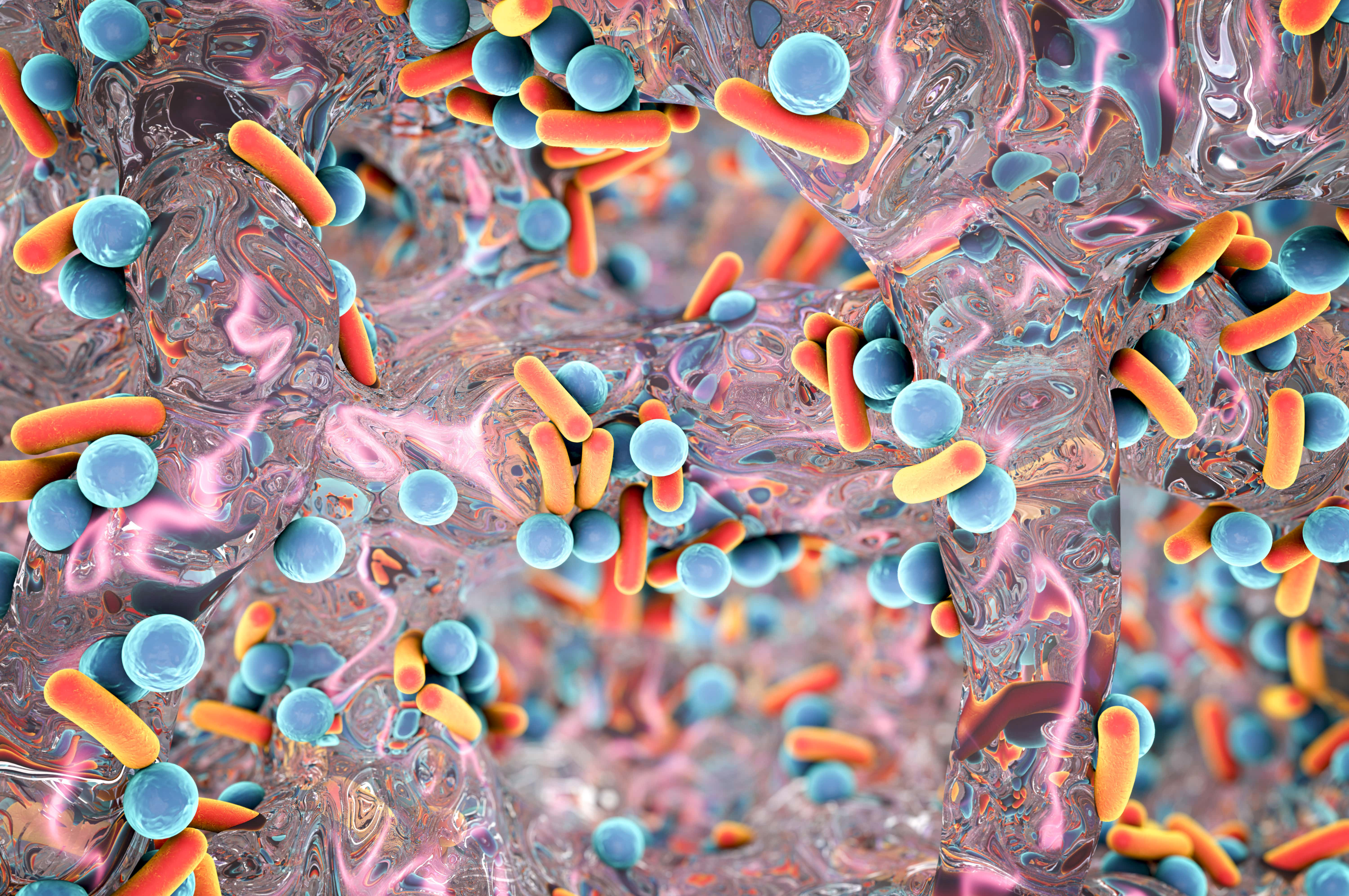 image représentant des bactéries résistantes aux antibiotiques