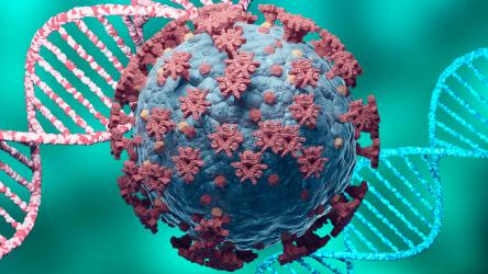 visuel de l'évolution génomique d'un virus