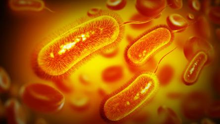 e-coli