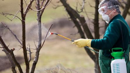 Photo illustrant l'utilisation de produits chimiques dans un verger par un jardinier