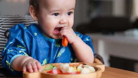 Visuel d'un enfant en bas âge en train de manger des légumes crus