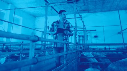 visuel illustrant un éleveur de porcs