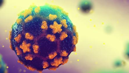 Visuel d'un poliovirus