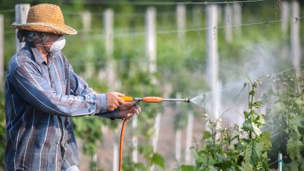Visuel illustrant un homme en train de diffuser des produits sur ses cultures