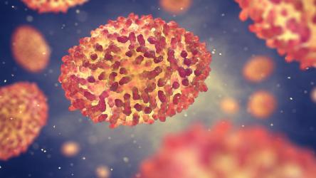 Visuel du virus de la variole du singe - Monkeypox