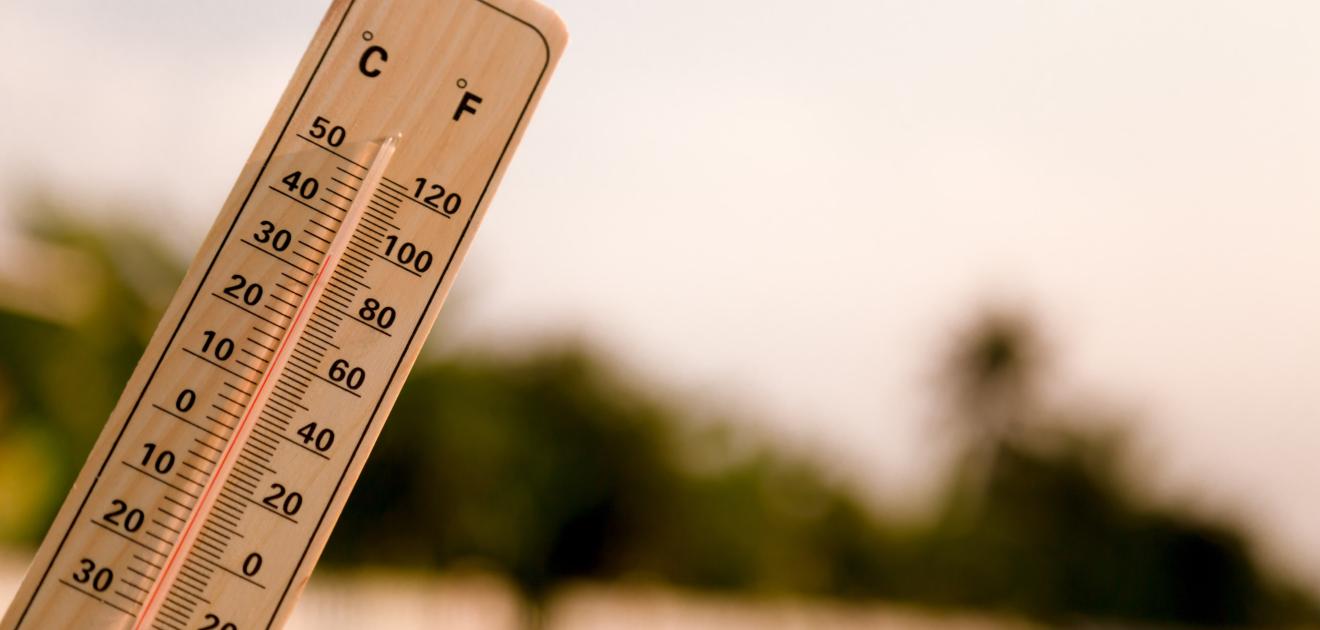 visuel représentant des fortes chaleurs