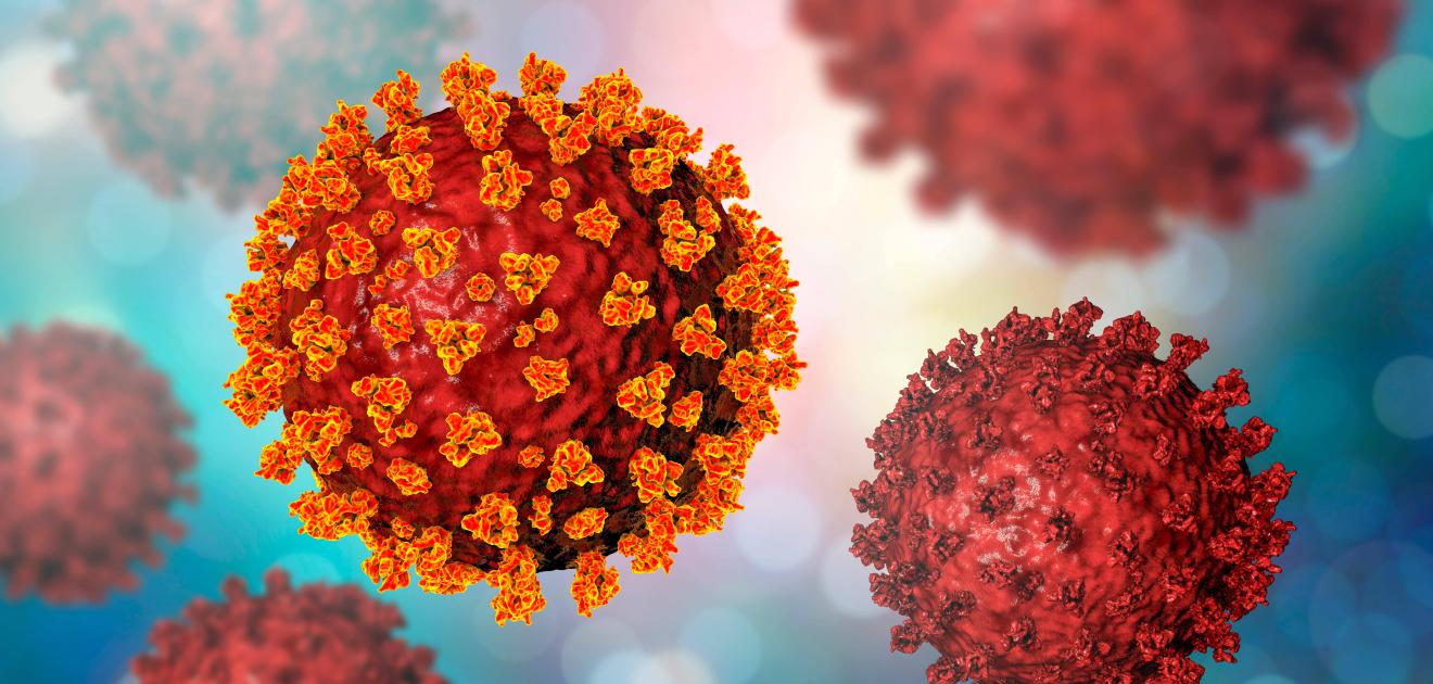 Illustration des variants du SARS-CoV-2