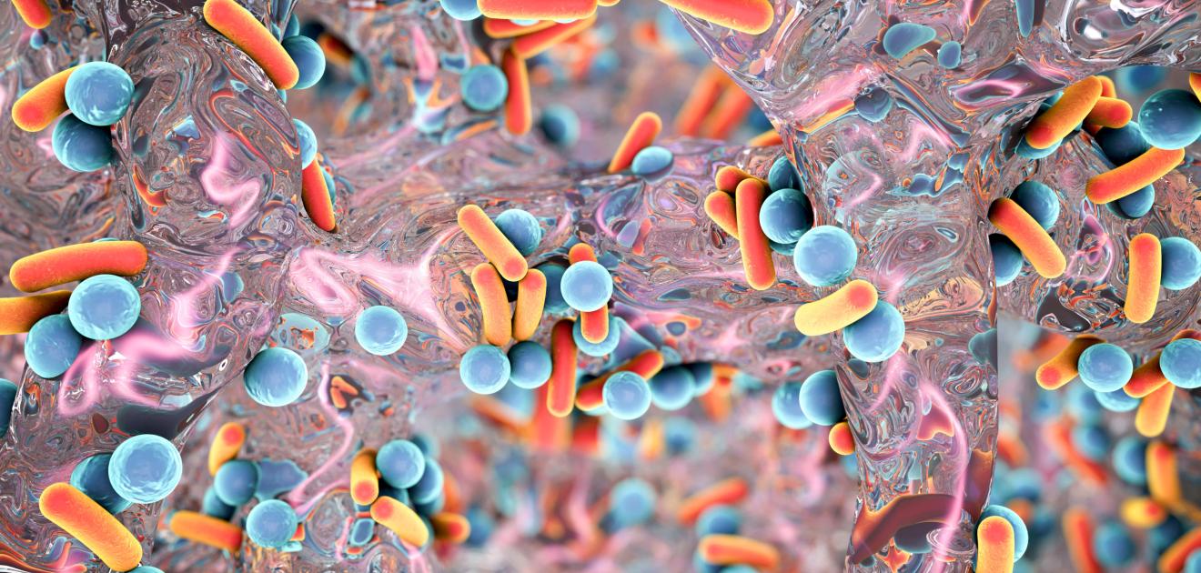 image représentant des bactéries résistantes aux antibiotiques